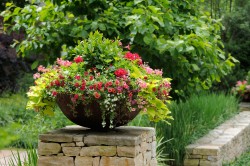 Zimmer- und Freilandschalen sowie Grabschmuck
